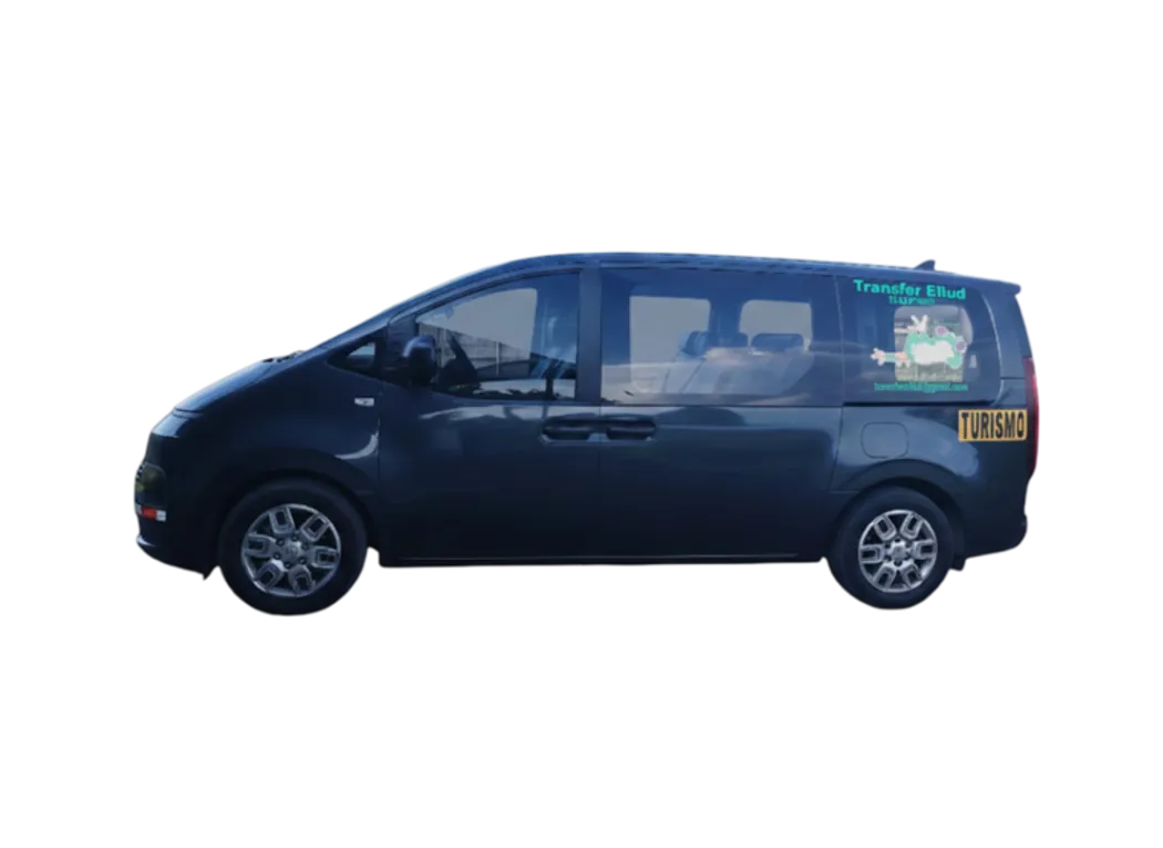 decoracion de un bus verde con logos de Transporte Eliud